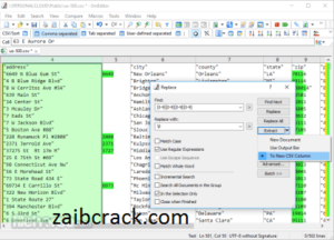 EmEditor Professional 21.1.1 (64-bit) Crack Plus Keygen Free Download