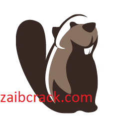DBeaver 21.2.2 Crack Plus License Number Free Download 2021