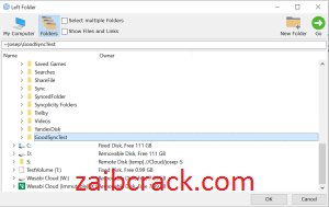 GoodSync 11.8.6.6 Crack Plus License Number Free Download 2021