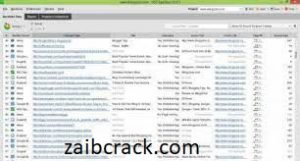 LinkAssistant 6.41.3 Crack + License Number Free Download 2021