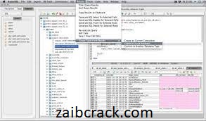 RazorSQL 9.4.9 Crack Plus License Number Free Download 2021