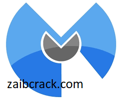 Malwarebytes 4.4.10 Crack Plus Serial Number Free Download 2021