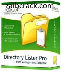Directory Lister Pro 2.42 Crack Plus Serial Number Free Download 2021