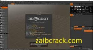 3D Coat V4.9.74 Crack Plus Activation Code Free Download