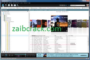 Helium Music Manager Premium 15.2.17849.0 Crack + Keygen Download