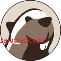 DBeaver 21.2.1 Crack Plus Activation Code Free Download 2021