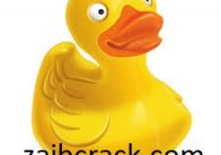 Cyberduck for Windows 8.0.2 Crack + License Number Free Download