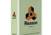 Reason Crack