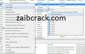 Process Lasso 10.4.5.28 Crack Serial Code Free Download