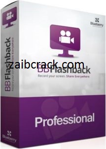 BB Flashback Pro Crack 